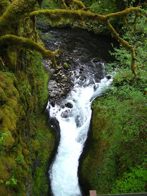 Eagle Creek-139.JPG - Eagle Creek